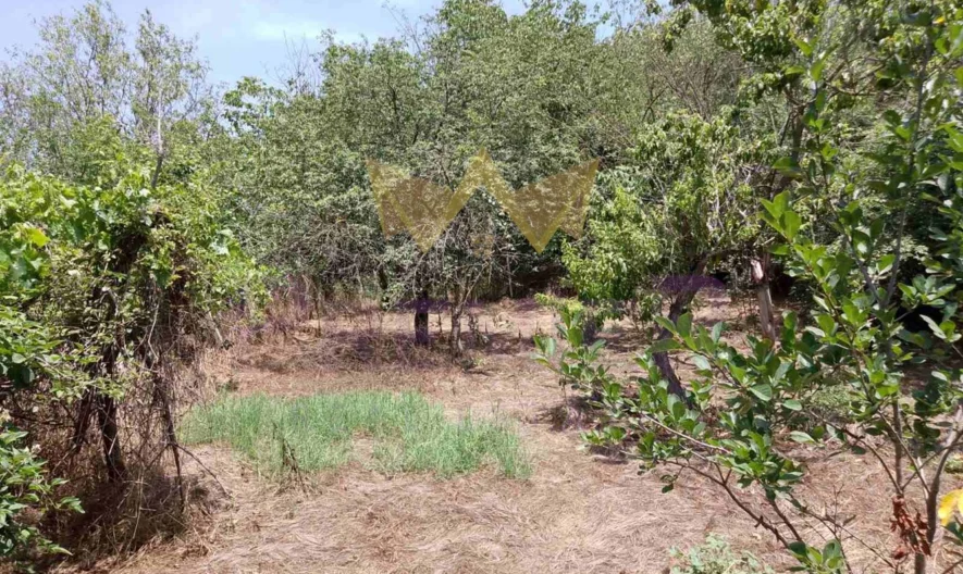 Парцел местност Планова -  - снимка 3 - Имоти Премиер