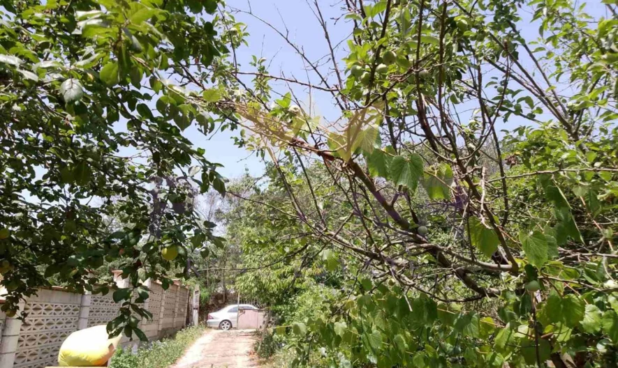 Парцел местност Планова -  - снимка 5 - Имоти Премиер