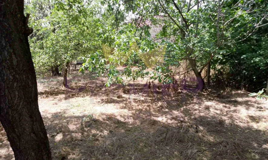 Парцел местност Планова -  - снимка 6 - Имоти Премиер