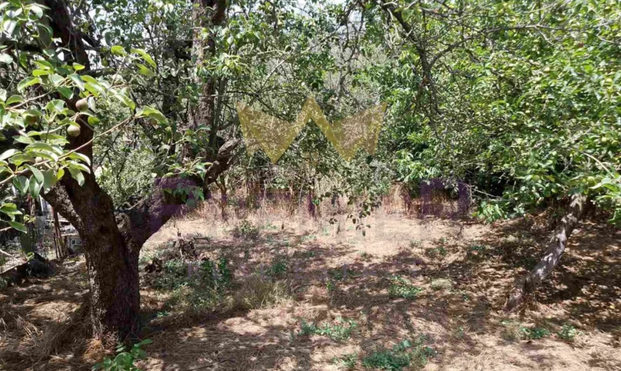 Парцел местност Планова -  - снимка 9 - Имоти Премиер