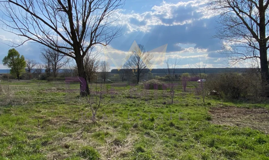 Парцел на главен път с асфалтов достъп - - снимка 5 - Имоти Премиер