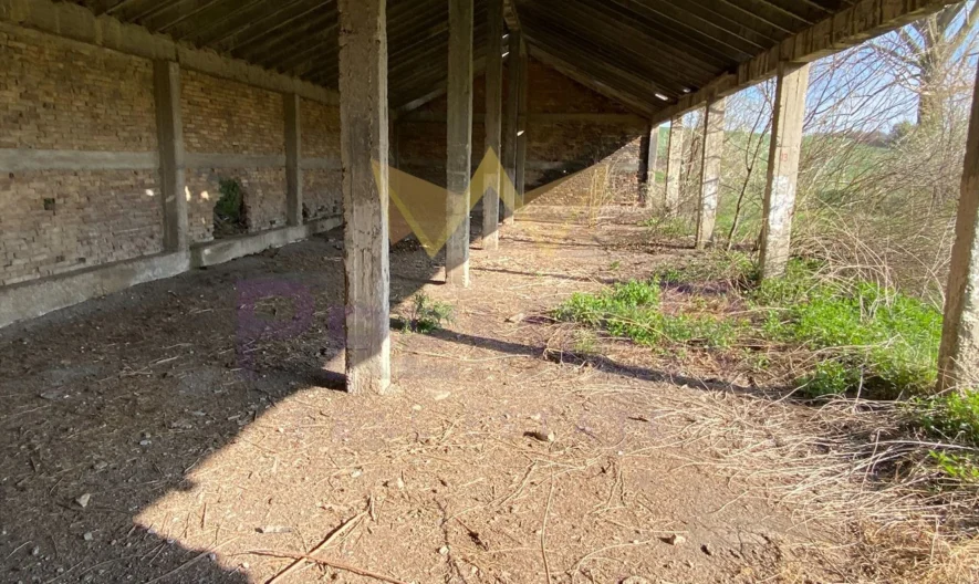 Парцел на главен път с асфалтов достъп -  - снимка 5 - Имоти Премиер