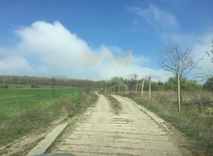 Парцел с. Близнаци, обл. Варна - - снимка 4 - Имоти Премиер