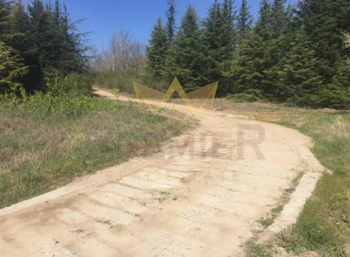 Парцел с. Близнаци, обл. Варна - - снимка 6 - Имоти Премиер