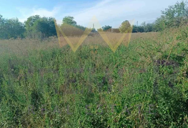 Агенция за недвижими имоти - Имоти Премиер - имот - 940466, Цена: 5500 EUR