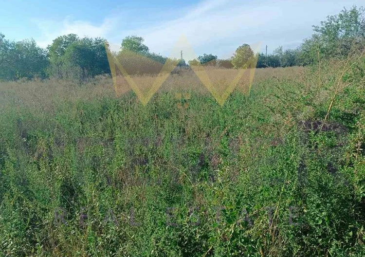 Парцел с. Генерал Колево - - снимка 1 - Имоти Премиер