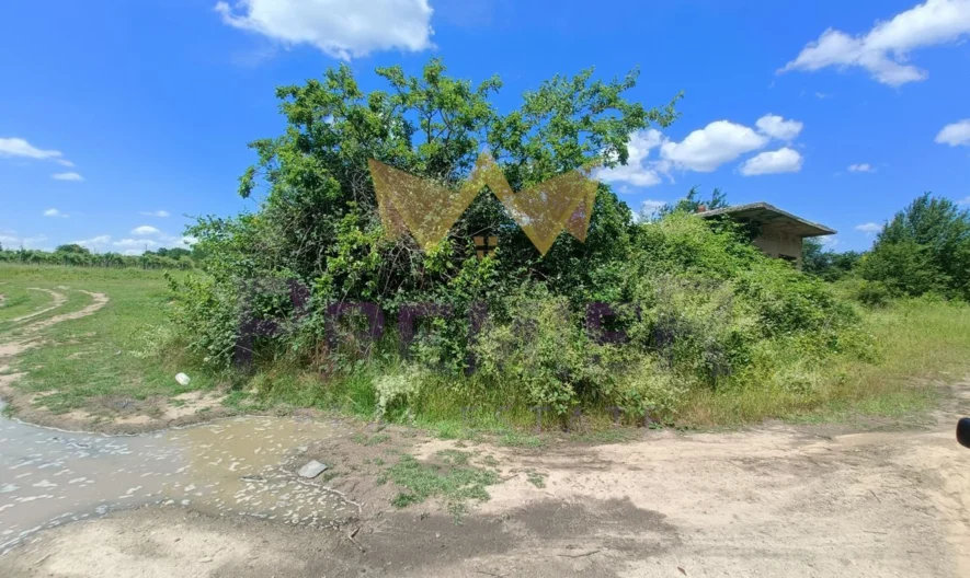 Парцел с. Господиново -  - снимка 3 - Имоти Премиер