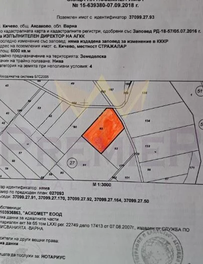 парцел с. Кичево 6000 кв. м. - - снимка 2 - Имоти Премиер
