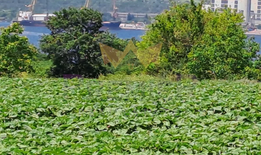 Парцел , с. Константиново – вилна зона Лазур -  - снимка 1 - Имоти Премиер