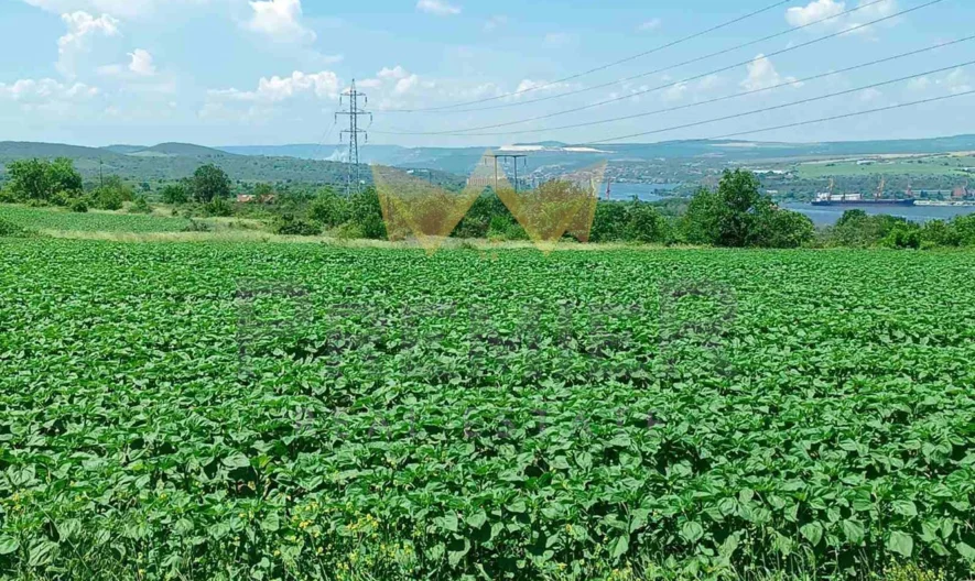 Парцел , с. Константиново – вилна зона Лазур -  - снимка 2 - Имоти Премиер