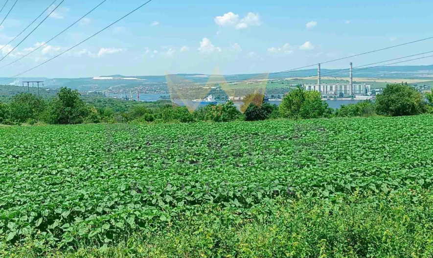 Парцел , с. Константиново – вилна зона Лазур -  - снимка 3 - Имоти Премиер