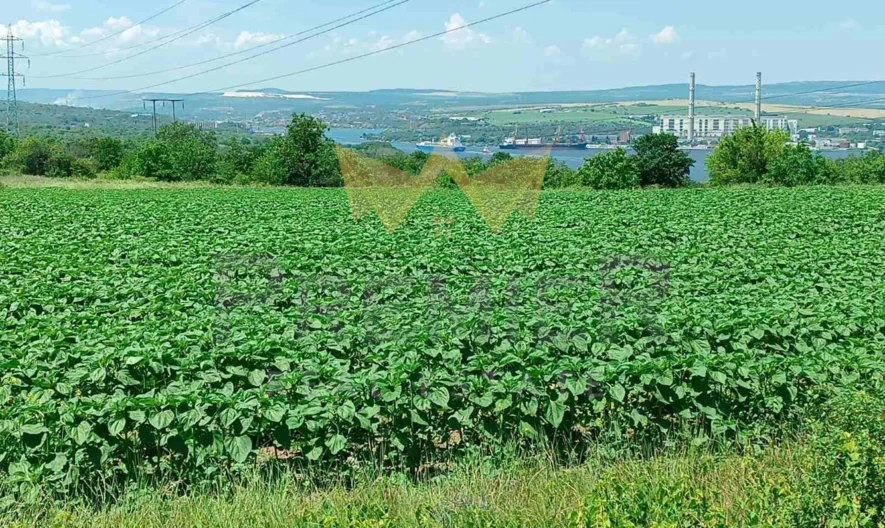 Парцел , с. Константиново – вилна зона Лазур -  - снимка 4 - Имоти Премиер