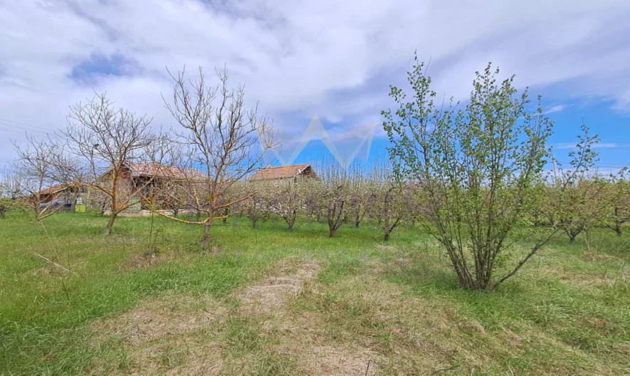 Парцел с. Кривини, обл.Варна -  - снимка 10 - Имоти Премиер