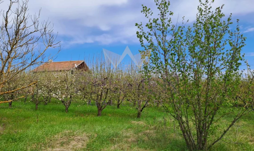 Парцел с. Кривини, обл.Варна -  - снимка 12 - Имоти Премиер
