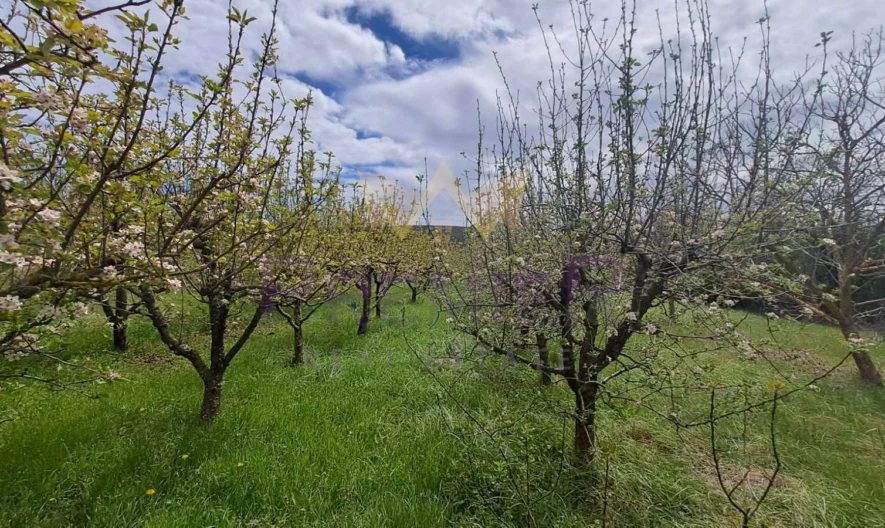 Парцел с. Кривини, обл.Варна -  - снимка 15 - Имоти Премиер