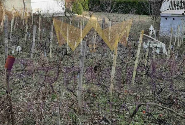 Агенция за недвижими имоти - Имоти Премиер - имот - 1194832, Цена: 65000 EUR