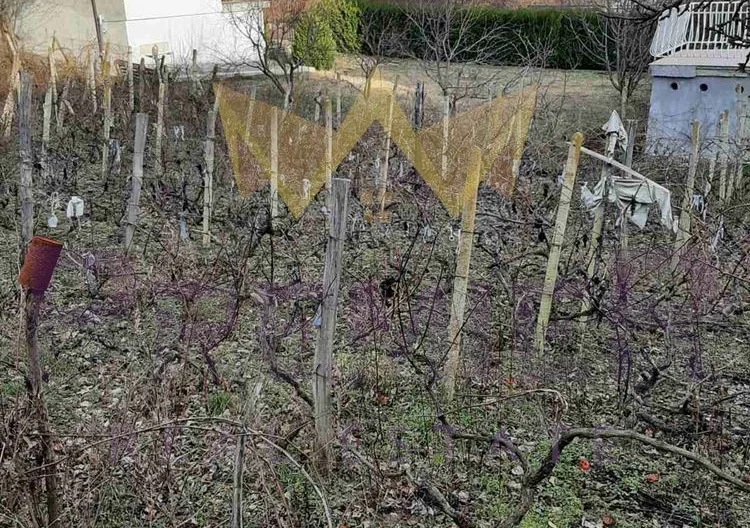 π
ΠΠΠ Π¦ΠΠ Π‘ ΠΠΠ Π‘ΠΠ ΠΠΠΠΠ ΠΠΠ | ΠΌ-Ρ ΠΠΠΠΠ ΠΠΠ 3 - - ΡΠ½ΠΈΠΌΠΊΠ° 3 - ΠΠΌΠΎΡΠΈ ΠΡΠ΅ΠΌΠΈΠ΅Ρ