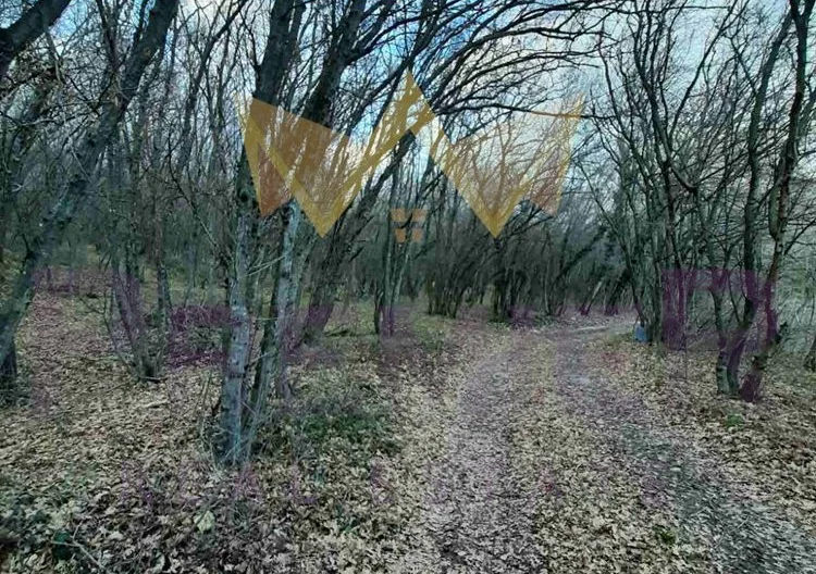 🌅 ПАРЦЕЛ С МОРСКА ПАНОРАМА | м-т ПАНОРАМА 3 -  - снимка 8 - Имоти Премиер