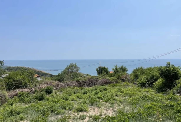 Агенция за недвижими имоти - Имоти Премиер - имот - 828400, Цена: 100000 EUR