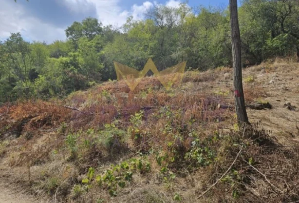 Агенция за недвижими имоти - Имоти Премиер - имот - 1079745, Цена: 119000 EUR