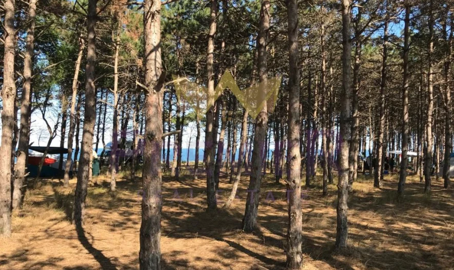 ПАРЦЕЛ С МОРСКИ ИЗГЛЕД НА ПЪРВА ЛИНИЯ -  - снимка 5 - Имоти Премиер