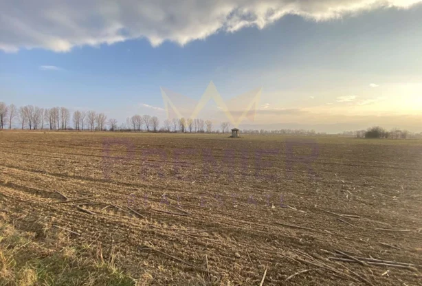 Агенция за недвижими имоти - Имоти Премиер - имот - 812212, Цена: 5371102 EUR