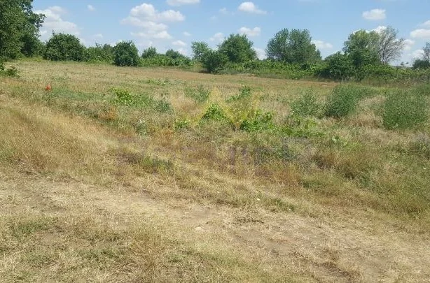 Агенция за недвижими имоти - Имоти Премиер - имот - 982055, Цена: 21500 EUR