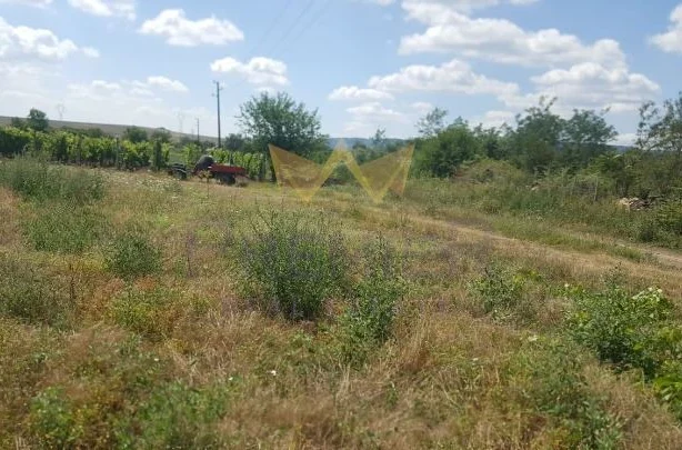 Агенция за недвижими имоти - Имоти Премиер - имот - 982055, Цена: 21500 EUR