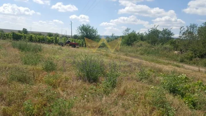 Парцел с. Неофит Рилски - - снимка 3 - Имоти Премиер