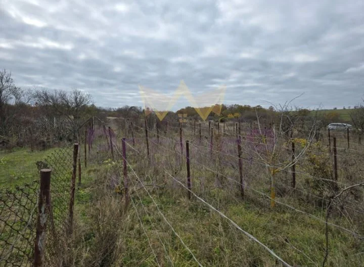 Парцел с постройка с.Осеново - - снимка 3 - Имоти Премиер