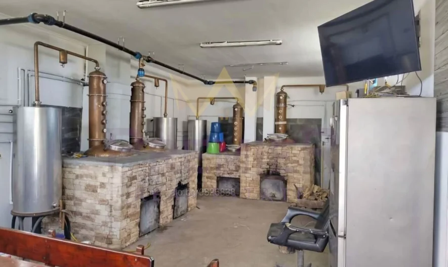 Парцел с постройка в с.Тополи -  - снимка 5 - Имоти Премиер