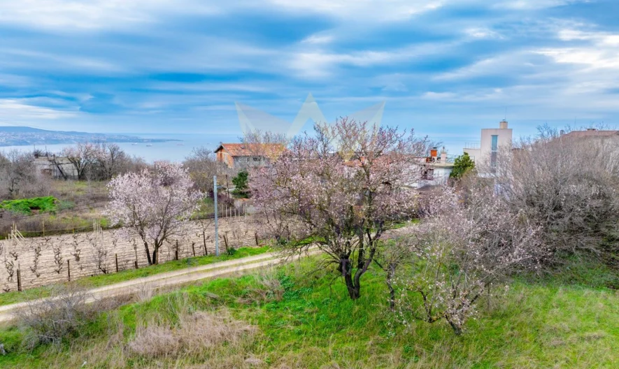 🏡 ПАРЦЕЛ С ПОТЕНЦИАЛ ЗА ЗАСТРОЯВАНЕ | 2451 кв.м -  - снимка 13 - Имоти Премиер