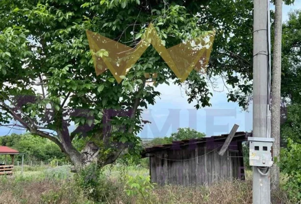 Агенция за недвижими имоти - Имоти Премиер - имот - 1022256, Цена: 65000 EUR