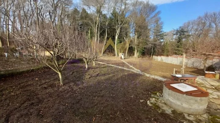 Парцел с ток и вода Боровец-север -  - снимка 3 - Имоти Премиер