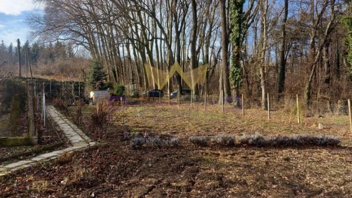 Парцел с ток и вода Боровец-север -  - снимка 5 - Имоти Премиер