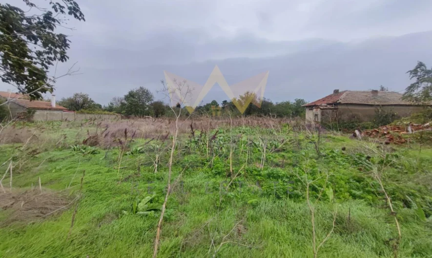 Парцел с ток и вода в с.Царичино - - снимка 1 - Имоти Премиер