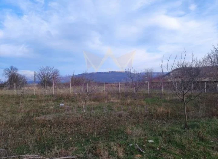 Парцел с. Тръстиково, обл. Варна -  - снимка 2 - Имоти Премиер