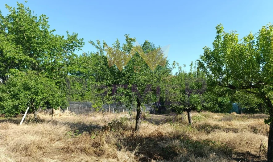 Парцел с временна постройка с.Страшимирово -  - снимка 16 - Имоти Премиер