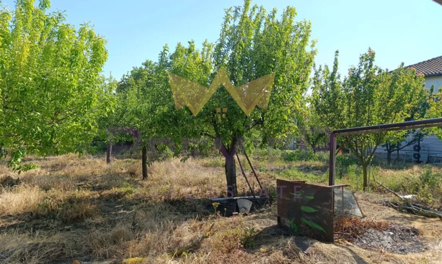 Парцел с временна постройка с.Страшимирово -  - снимка 17 - Имоти Премиер