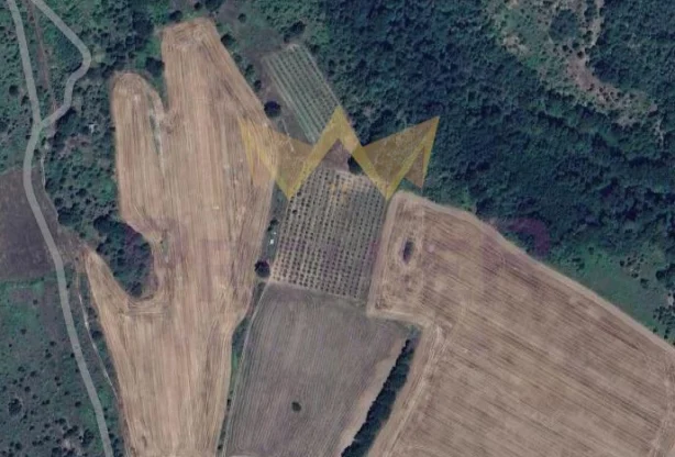 Агенция за недвижими имоти - Имоти Премиер - имот - 949269, Цена: 42000 EUR