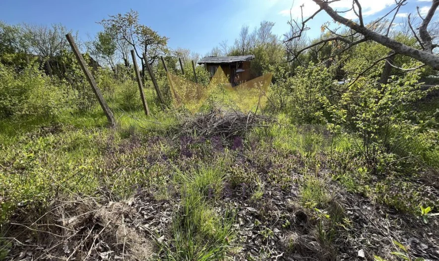 Парцел с.Езерово -  - снимка 5 - Имоти Премиер