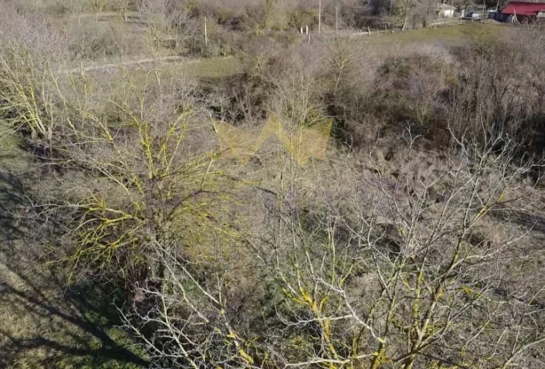 Агенция за недвижими имоти - Имоти Премиер - имот - 978937, Цена: 11000 EUR