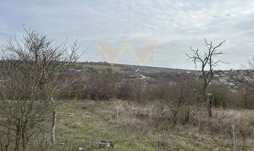 Парцел с.Константиново -  - снимка 4 - Имоти Премиер