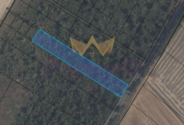 Агенция за недвижими имоти - Имоти Премиер - имот - 971738, Цена: 97500 EUR