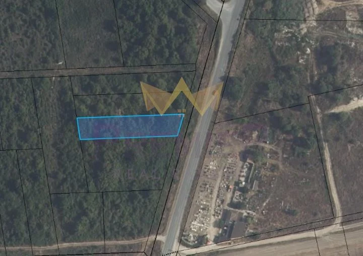 Парцел с.Рогачево -  - снимка 1 - Имоти Премиер