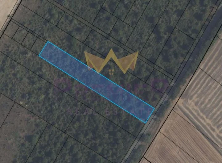 Парцел с.Рогачево -  - снимка 1 - Имоти Премиер