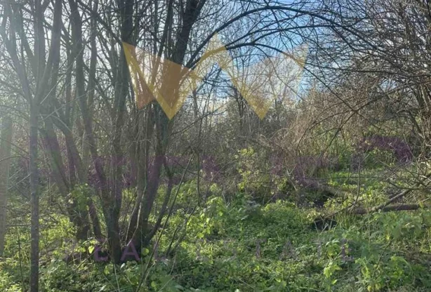 Агенция за недвижими имоти - Имоти Премиер - имот - 962072, Цена: 6500 EUR