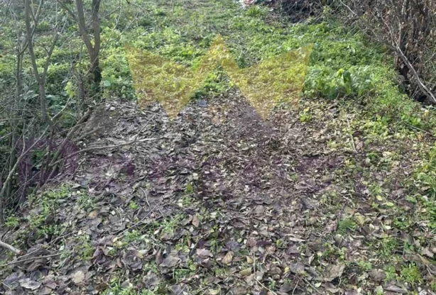 Агенция за недвижими имоти - Имоти Премиер - имот - 962072, Цена: 6500 EUR