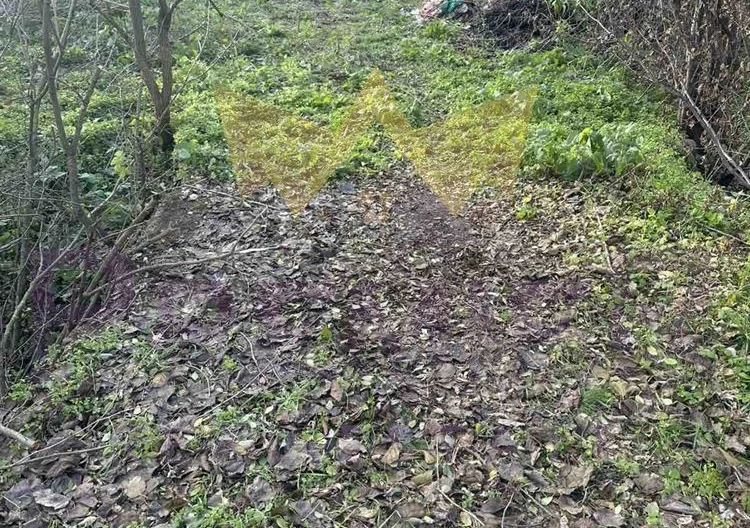 Парцел, Стефан Караджа - - снимка 1 - Имоти Премиер