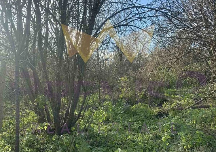 Парцел, Стефан Караджа - - снимка 2 - Имоти Премиер